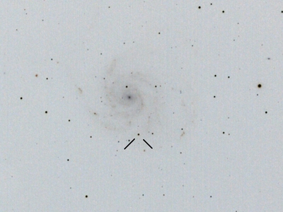 M101-49m-14subs-ISO1600-darks-bias-noflats 1crop-sn2011 inv  Supernova Type Ia in M101 - PTF11kly