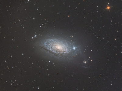 M63 v3  M63 (NGC 5055) - the Sunflower Galaxy  Paul Mortfield (aquisition: June 2012) & Tom Zaranek (processed: January 2014)  Location: Sierra Remote Observatories California  Telescope: RCOS 16" f/8.9  Mount: Paramount ME  Imaging: Apogee U16M, AstroDon Gen2 Filters  LRGB: 210:60:60:60 (L:15 mins and RGB:10 mins subs)  Total Exposure Time: 6.5 hours  Software: Maxim DL, PixInsight v1.8 : M63 sunflower galaxy ngc5055